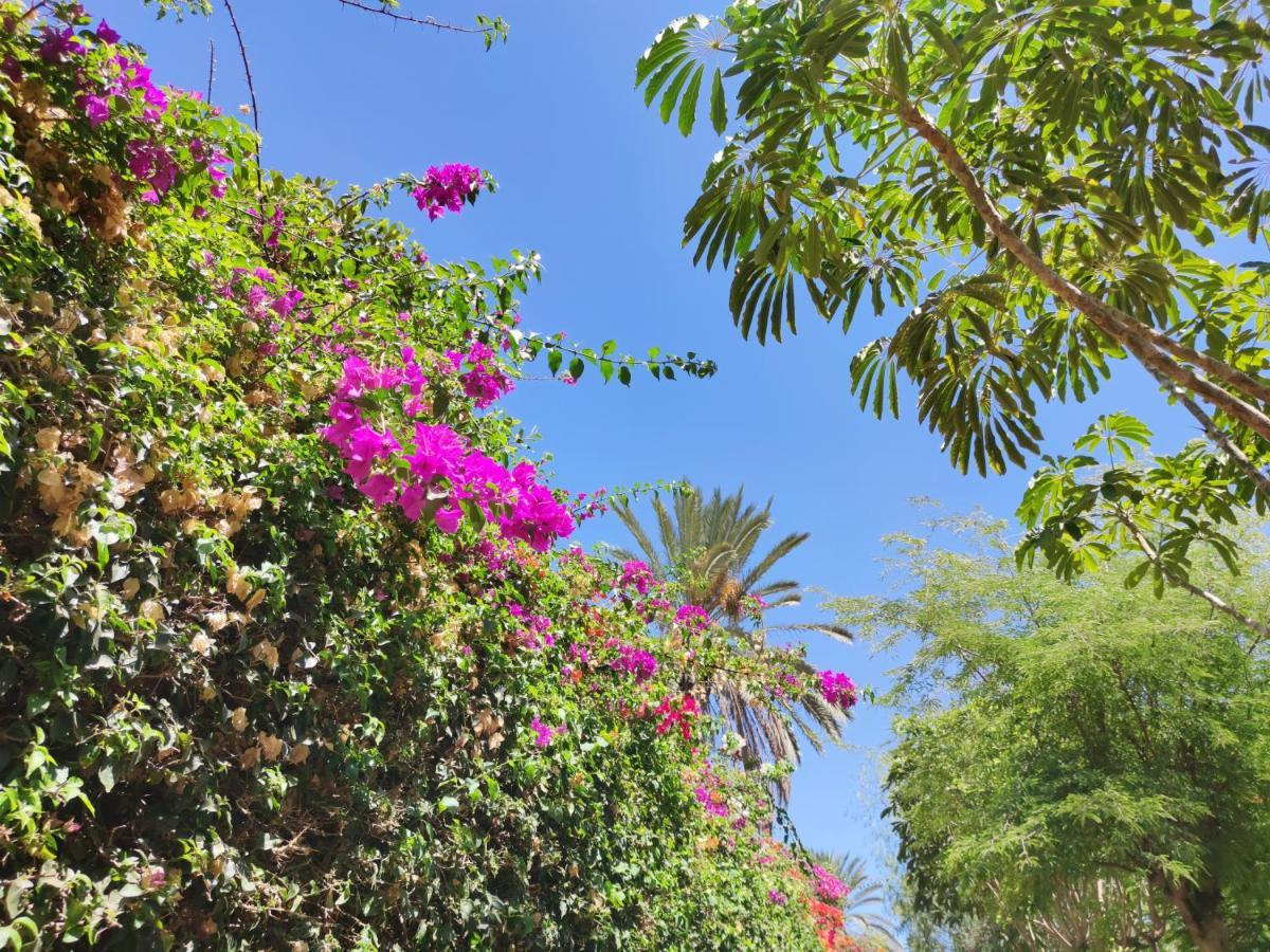 Villa Zinnia Playa Blanca  Exterior photo